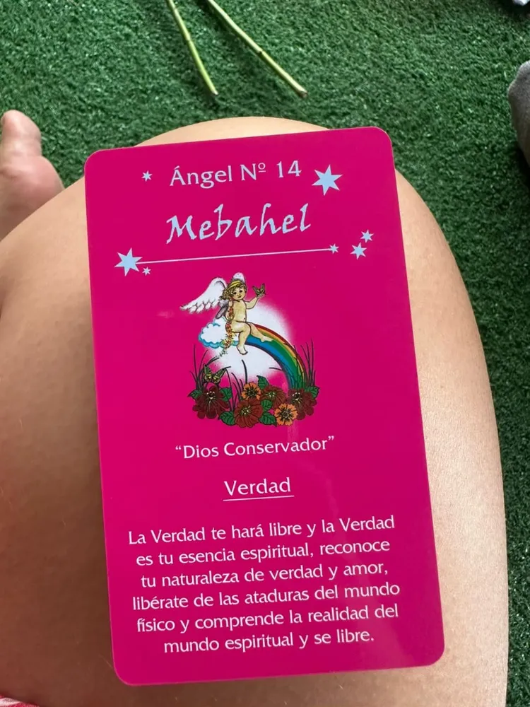 Limpieza y Liberación